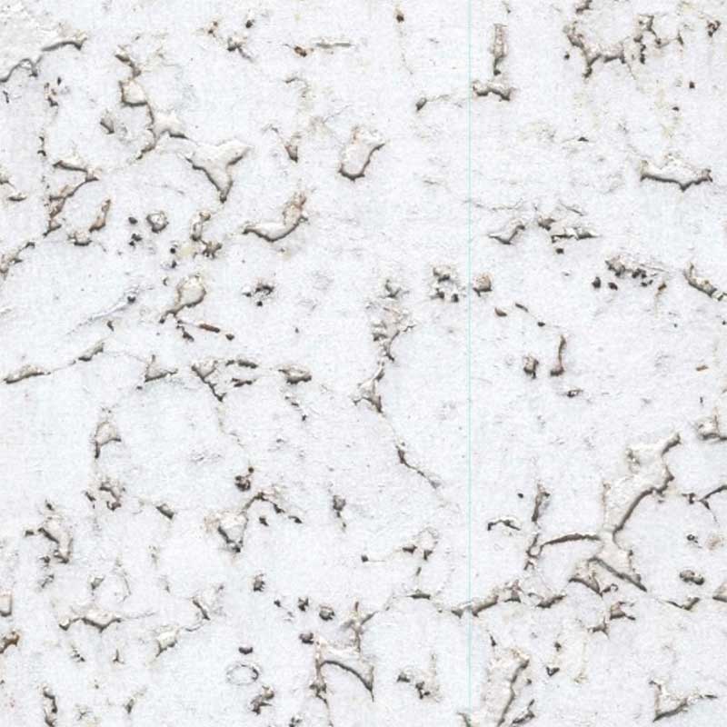 Condor-Snow-800x